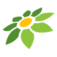 DOOD TWITTER
